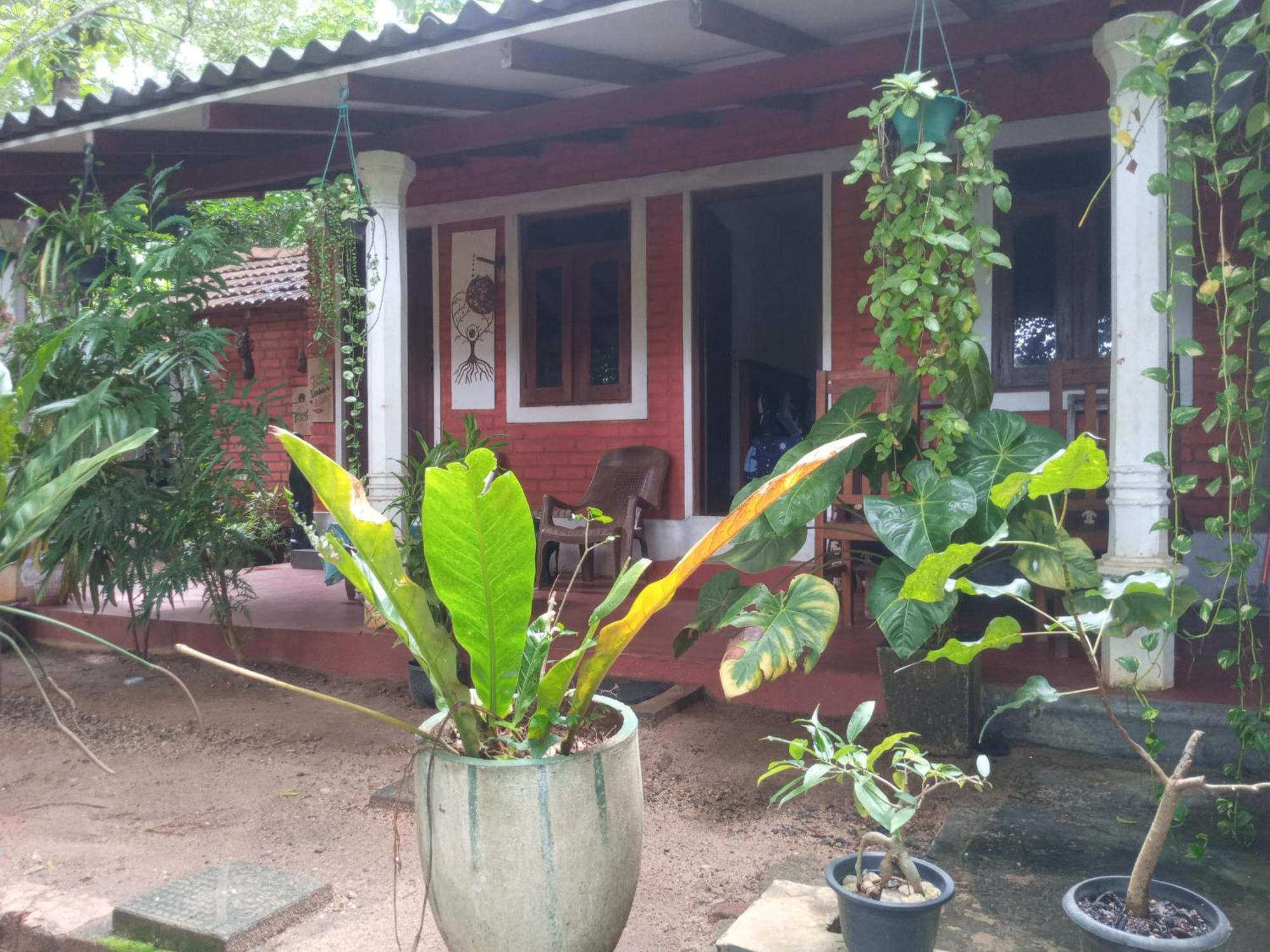Angry Birds Homestay Habarana Quarto foto